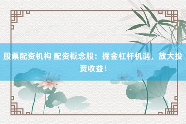 股票配资机构 配资概念股：掘金杠杆机遇，放大投资收益！