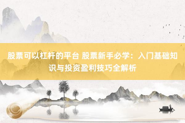 股票可以杠杆的平台 股票新手必学：入门基础知识与投资盈利技巧全解析