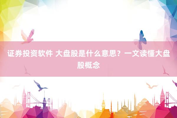 证券投资软件 大盘股是什么意思？一文读懂大盘股概念