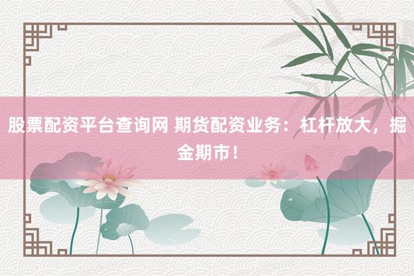 股票配资平台查询网 期货配资业务：杠杆放大，掘金期市！