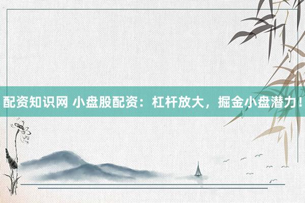 配资知识网 小盘股配资：杠杆放大，掘金小盘潜力！