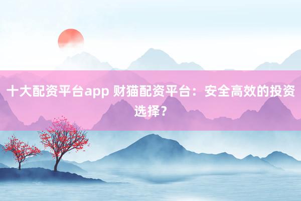 十大配资平台app 财猫配资平台：安全高效的投资选择？