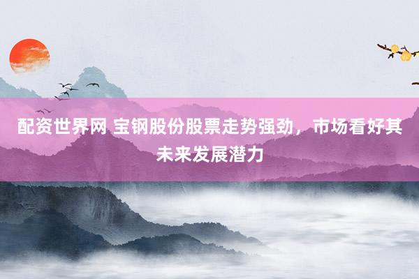 配资世界网 宝钢股份股票走势强劲，市场看好其未来发展潜力