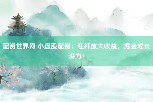 配资世界网 小盘股配资：杠杆放大收益，掘金成长潜力！