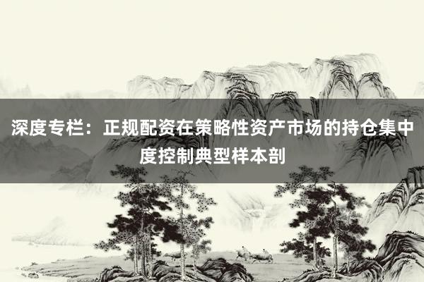深度专栏：正规配资在策略性资产市场的持仓集中度控制典型样本剖