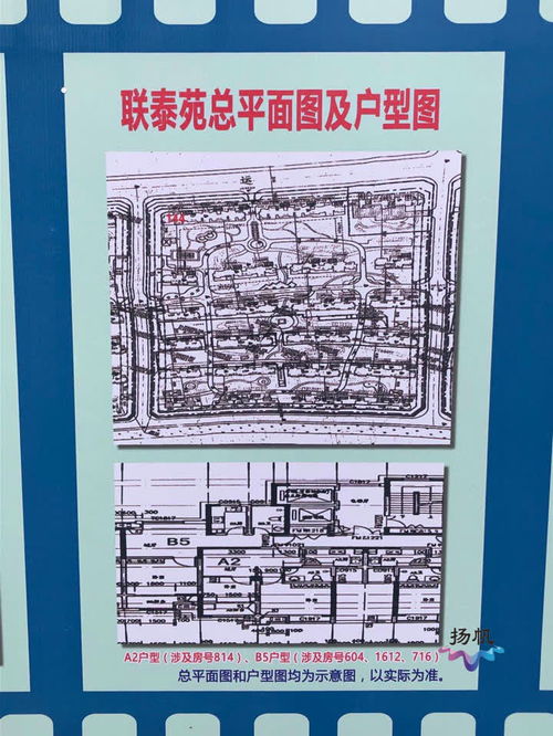 市区2019年度限价商品住房公开配售 87户困难家庭圆 安居梦